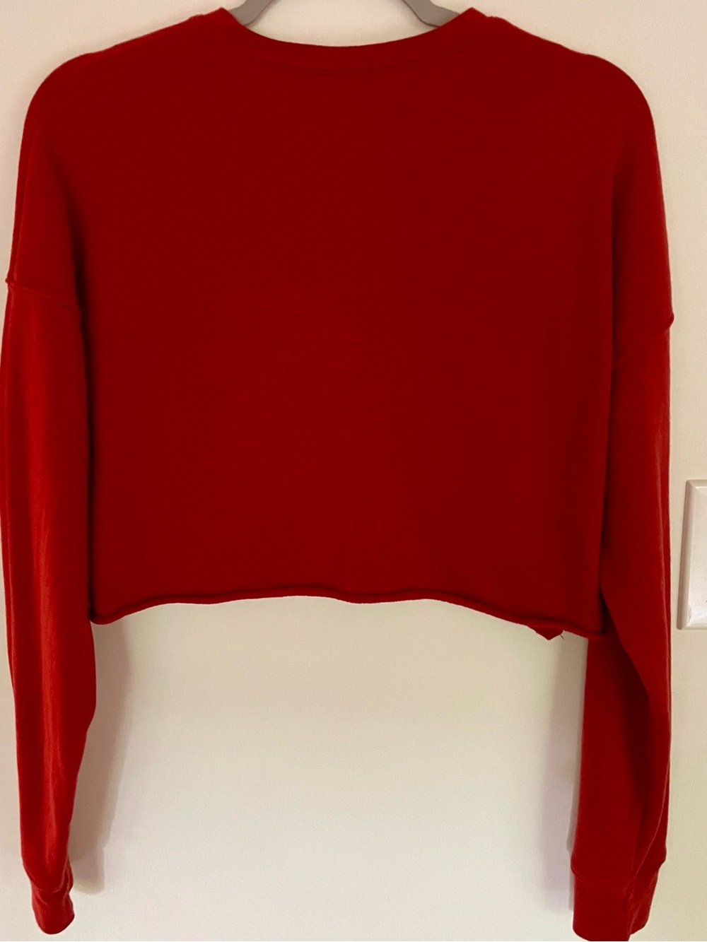 Rust Cropped Sweatshirt - Picture 3 of 3